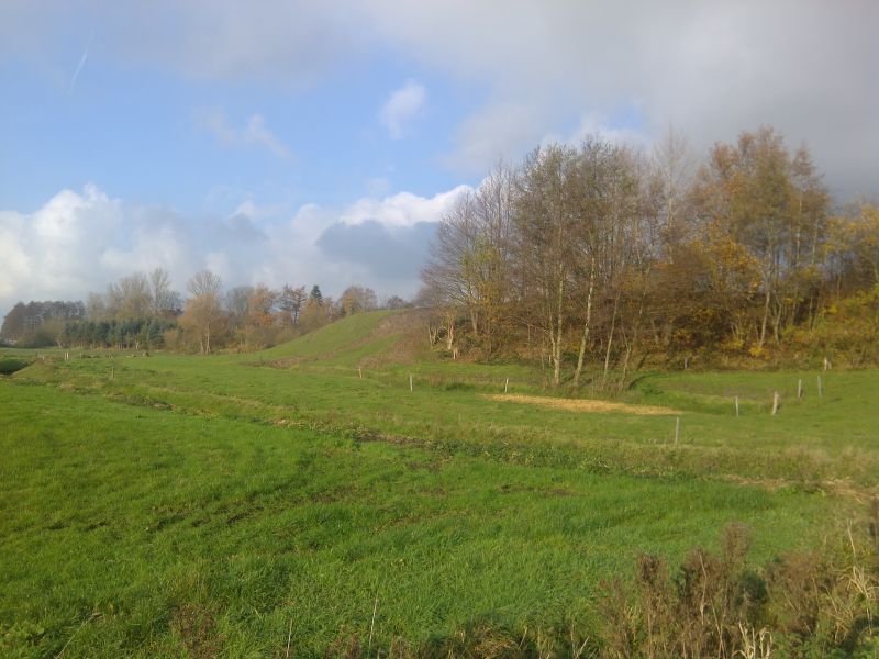 SPD St. Michaelisdonn - online -